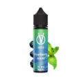 Longfill VBar VJuice 10/60ml - Blueberry Mint